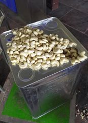 High Quality Dried Cashew Nuts Bulk Stock Fresh Hand Selected Cashew Nuts For International Import And Resale – product photo 1, product detail gallery