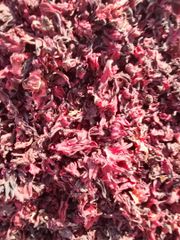 Hibiscus – product photo 5, product detail gallery