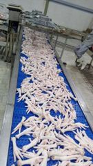 chicken feet – product photo 4, product detail gallery