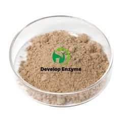 Swine Super Compound Enzyme 25kg 1Y 12M+ Shelf MOQ100 Origin China HS Code 350790 Specification 25kg Type Compound Enzyme - Beijing Develop Biotech Co., Ltd.