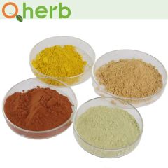 Food Additive Monascus Color Red - Image 6