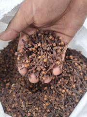 Premium Whole Dried Cloves (Cengkeh) – Indonesia Origin, Export Grade, Eugenol Min 70 - Image 3
