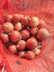 Fresh Yellow Onion, China Origin, Factory Direct Supply – product photo 4, product detail gallery