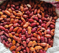 Organic Red Kidney Beans - Image 5