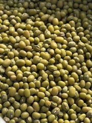 Green Mung Beans 2.8+ mm Polished, Whole Vigna Radiata, Bulk Wholesale, Uzbekistan, Crop 2026 – product photo 1, product detail gallery