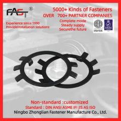 GB858 Plate Washer Spring Washers for Round Nuts Stainless Steel Stop Nuts - Image 3