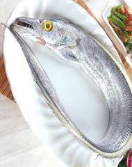 Ribbon Fish - Image 1