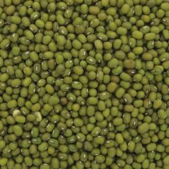 Fresh green Mung Beans natural and healthy top Mung Beans available in large quantity with fast shipping - Image 4