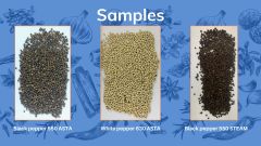 BLACK PEPPER 500 FAQ – product photo 1, product detail gallery