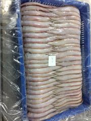 INDIAN FISH FROZEN SOLE FISH INDIAN SEAFOOD EXPORT - Image 5