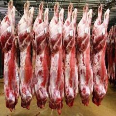 Buffalo Meat HALAL FROZEN BONELESS CARCASS BEEF  - Image 1
