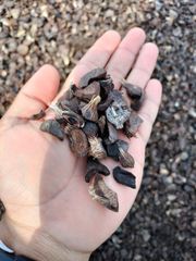 Palm Kernell Shell – product photo 1, product detail gallery