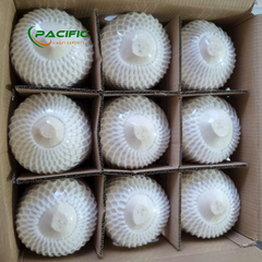 Fresh Young Coconut FDA Certificate, high BRIX – product photo 7, product detail gallery