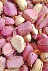 kolanut - Image 3