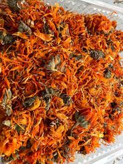 Calendula - El Reef Herbs