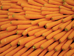 Fresh Carrot - Image 2