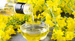 Refined Canola Oil - Image 1