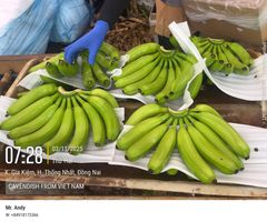 Cavendish Banana – product photo 2, product detail gallery