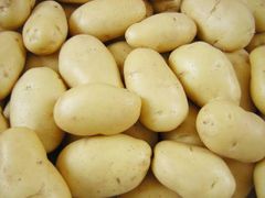Fresh Potatoes - Image 1