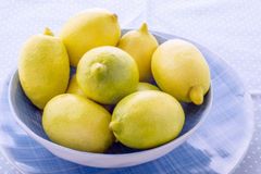 Fresh Eureka Lemon From THAI Color Yellow Harvest Time Sep Aroma Strong Fragrance Cultivation Type Common Packing 15kg/carton With Pallets - Image 3