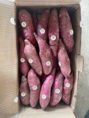 Sweet Potato Flavor Naturally Sweet Texture Smooth And Firm Harvesting Method Harvested At Peak Maturity Nutritional Content Rich In Vitamins, Minerals, And Dietary - Image 2
