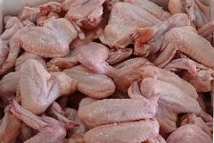 BONELESS FROZEN CHICKEN - Image 2