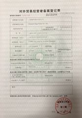 License Photo certificate from Shanghai Naga Plastic Co., Ltd.