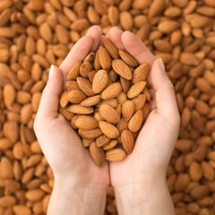 Natural Almond Kernels Offering Rich Flavor Crunchy Texture And Versatile Use For Home Kitchens Cafes - Image 3