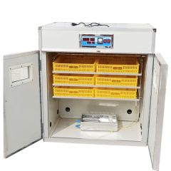 Laboratory Chicken Egg Incubator Hatcher Machine Price Best Offered - Image 2