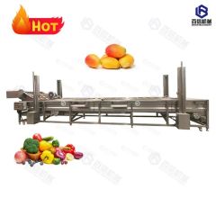 Different Model Washing Machine Fruit Cleaning Line Bubble Washing Machine - Image 6
