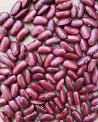 Dried Common Bean