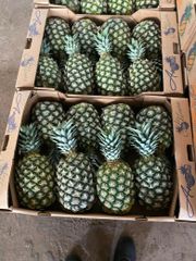 MD2 Fresh Pineapples - Image 1