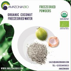 Coconut Water Freeze-Dried Powder - Image 1