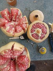 Pomegranate - Image 2