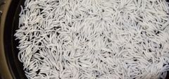 1718 Basmati Steam Rice - Image 1