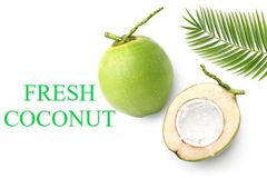 Fresh green Coconut From Vietnam 2024 natural coconut for drink Natural fruit Vietlinh Agrimex - Image 3