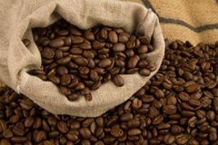 Wholesale Factory price Arabica / Robusta coffee bean Green Coffee Roasted Coffee beans from Vietnam – product photo 2, product detail gallery