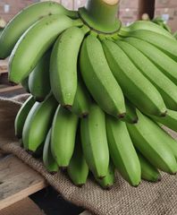 Fresh Cavendish Banana – product photo 1, product detail gallery