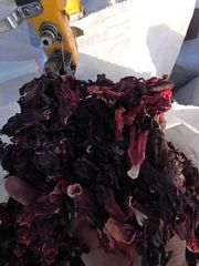 Dried Hibiscus Flower (Zobo) Grade A Premium Quality - Image 2