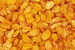 Iranian Golden Jumbo Raisins – Premium Quality – Export Quality - Grade 1 -- Bulk - Image 1