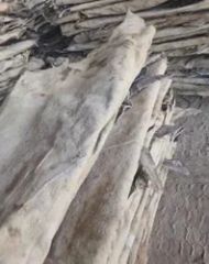 Dry Cow Hides - Image 2