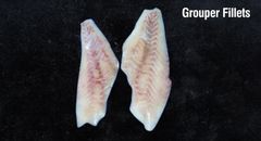 Frozen Grouper Fillets – Wholesale & Export Supply – product photo 1, product detail gallery