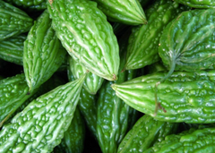 Bitter Gourd - Image 6