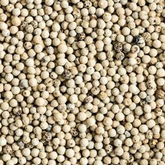 White Pepper - Image 3