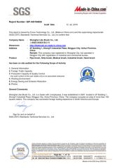 SGS Report certificate from Shanghai Like Brush Co., Ltd.