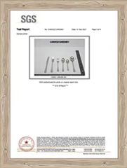 SGS certificate from Changsha Chengtong Technology Co., Ltd.