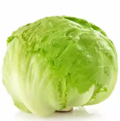 FRESH CABBAGE Packaging 5kg Place of Origin - Image 2