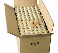 Eggs - Image 1
