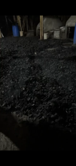 Coconut Shell Charcoal - Image 3