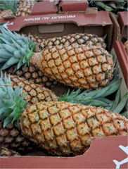 Fresh Pineapple (Pain de Sucre) - Image 1